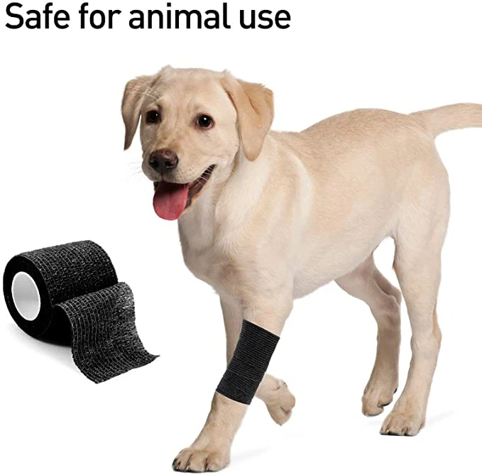 dog (3) dog (3)